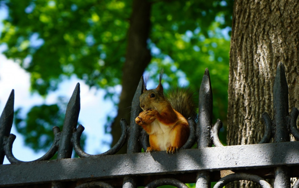 Прикольные картинки