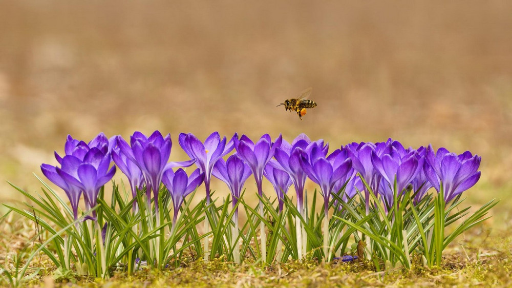 Позитивное фото