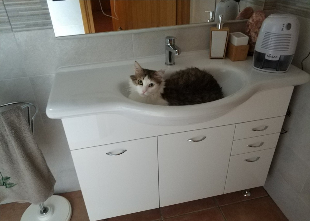 Позитивное фото