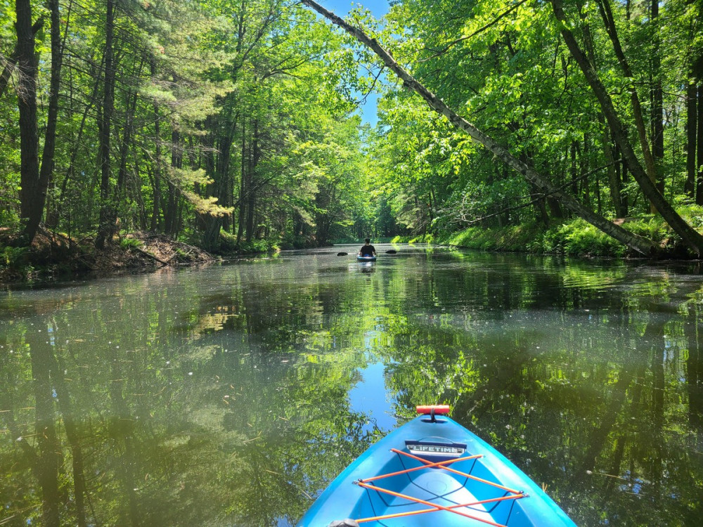 Позитивное фото