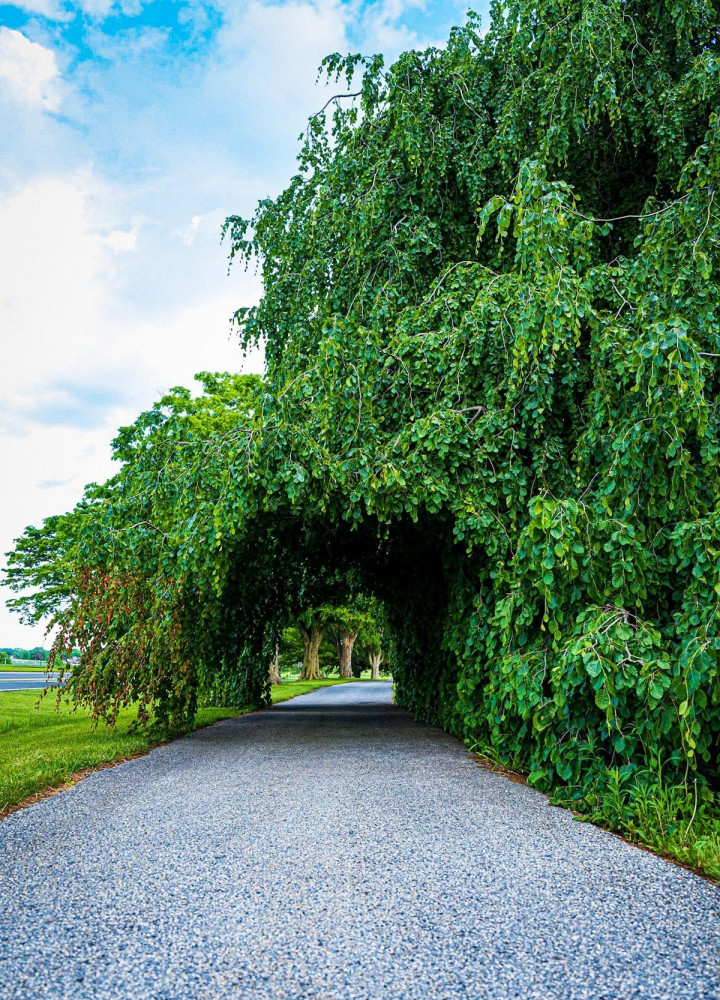 Позитивное фото
