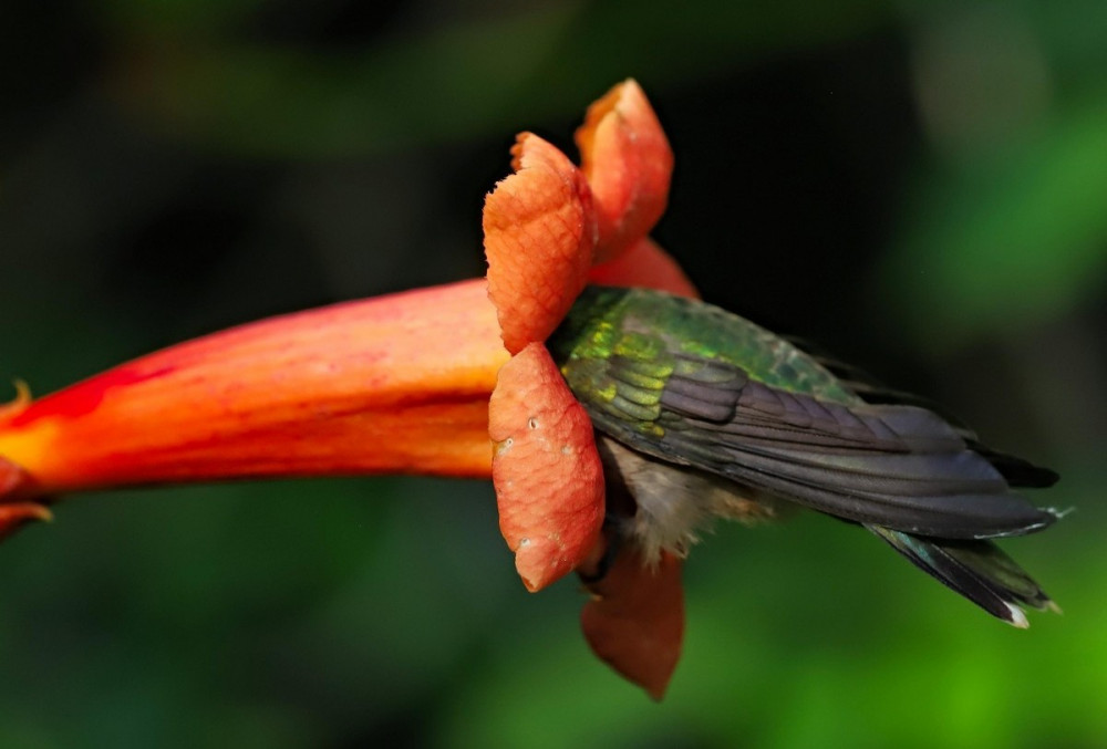 Позитивное фото
