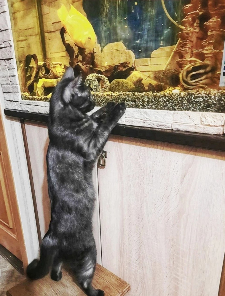 Позитивное фото