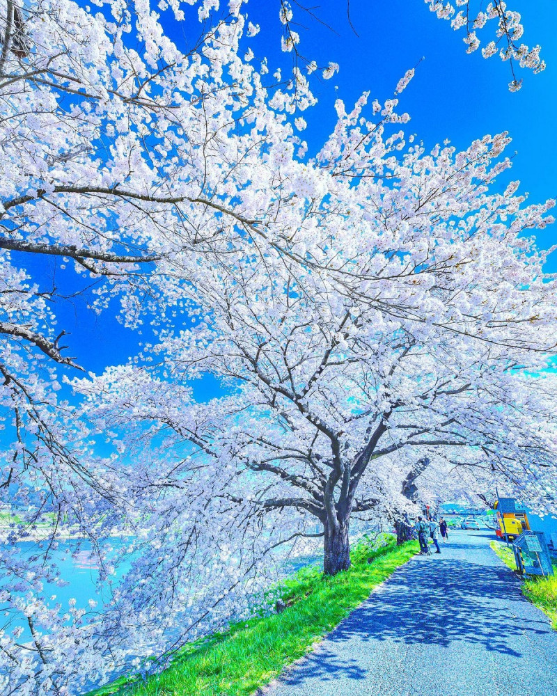 Позитивное фото