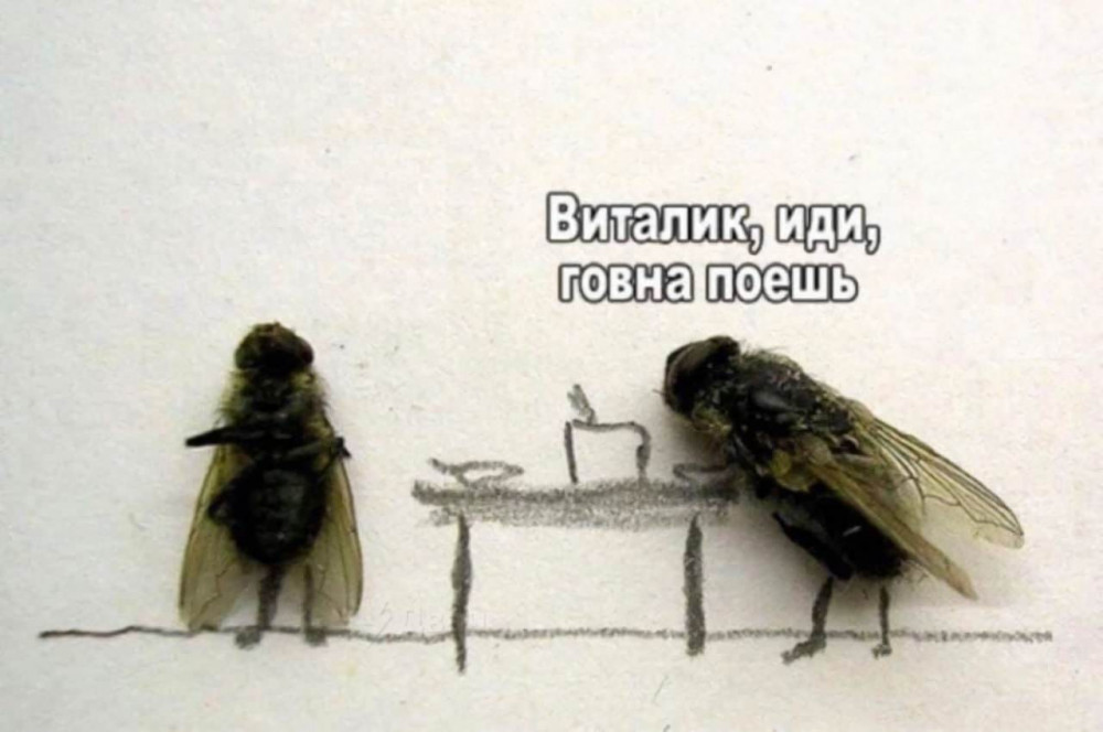 Смешные картинки