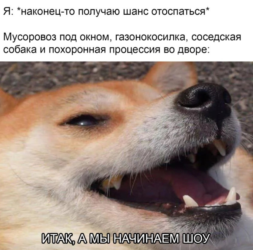 Смешные картинки