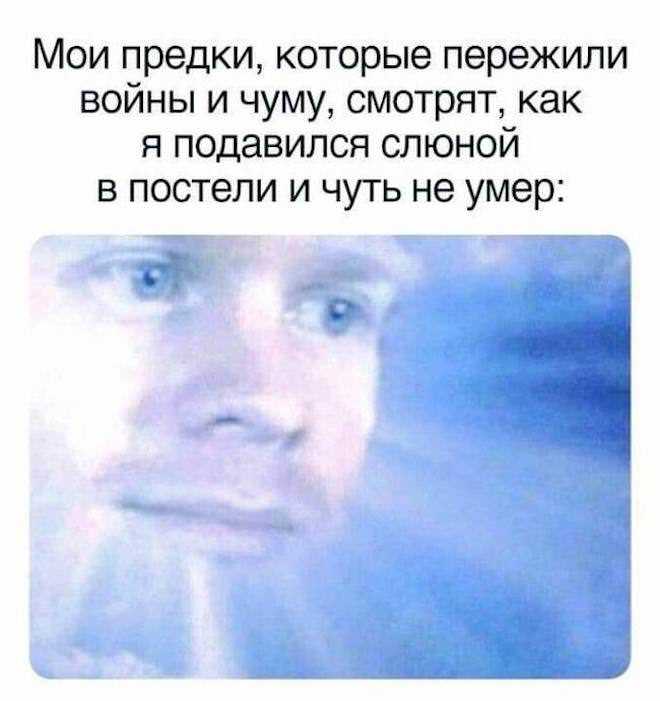 Смешные картинки