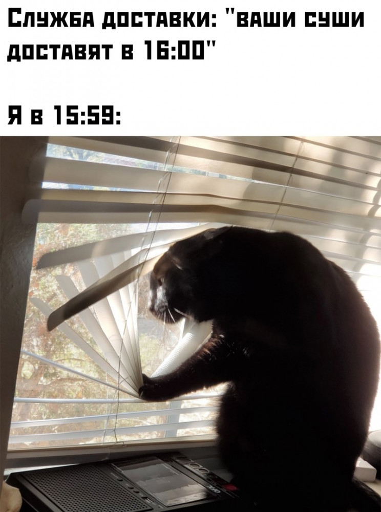 Смешные картинки