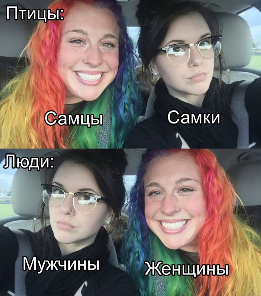 Смешные картинки