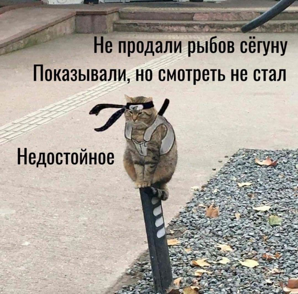 Смешная картинка мем досуга