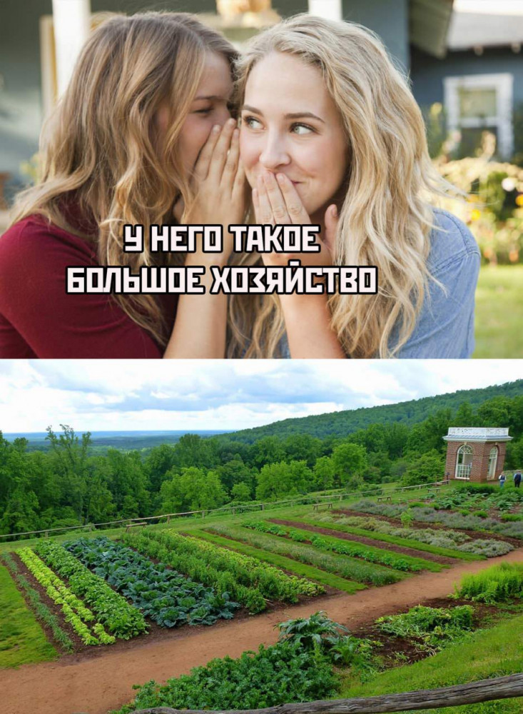 Смешная картинка мем досуга