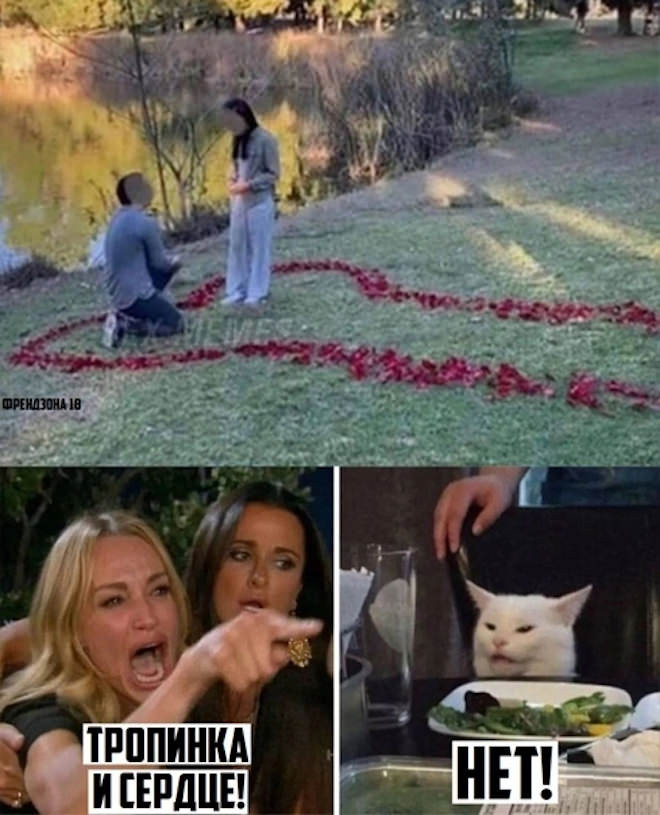 Самые смешные картинки с надписями, любимые мемы и чёрный юмор