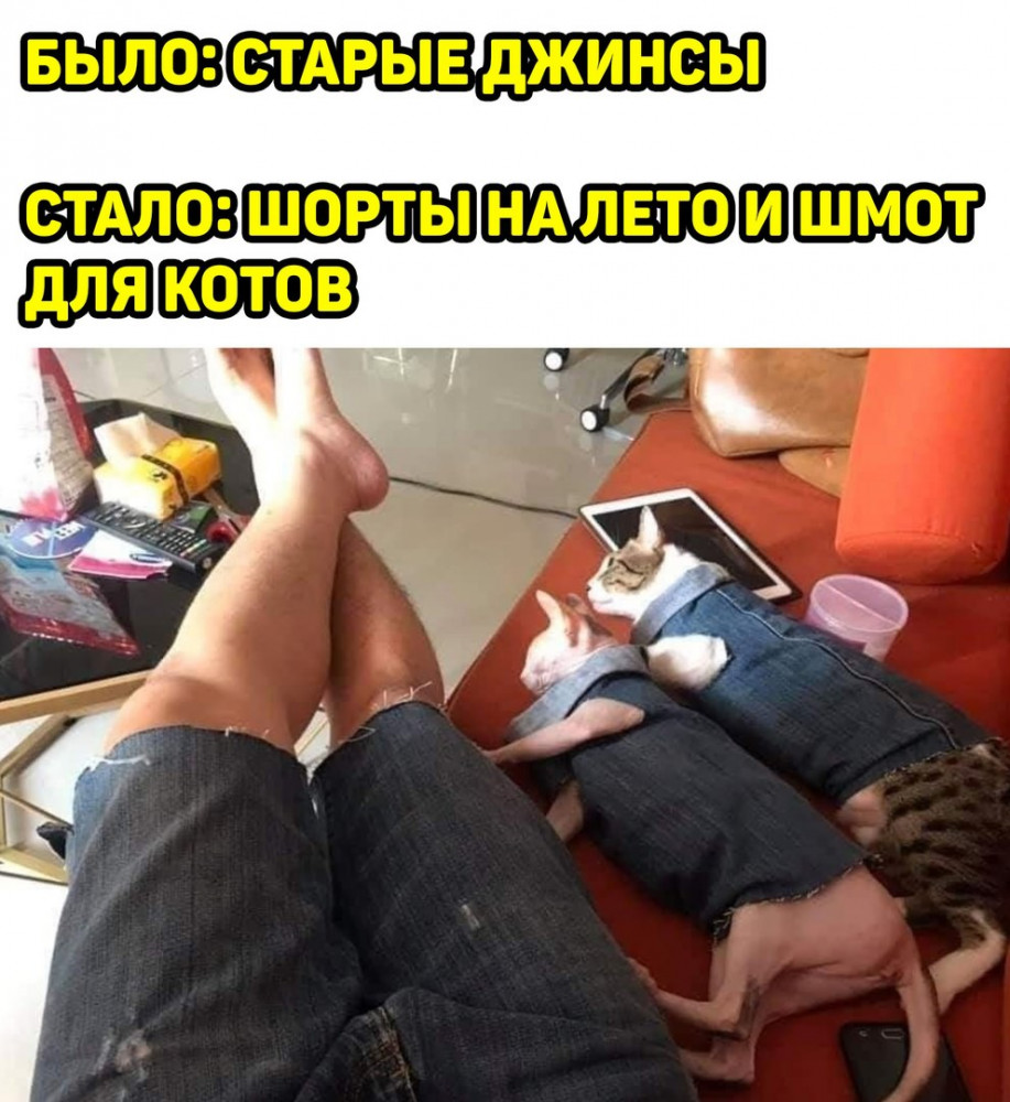 Мемы досуга нет