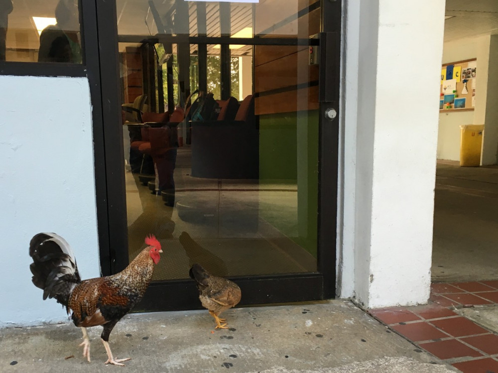 Позитивные картинки