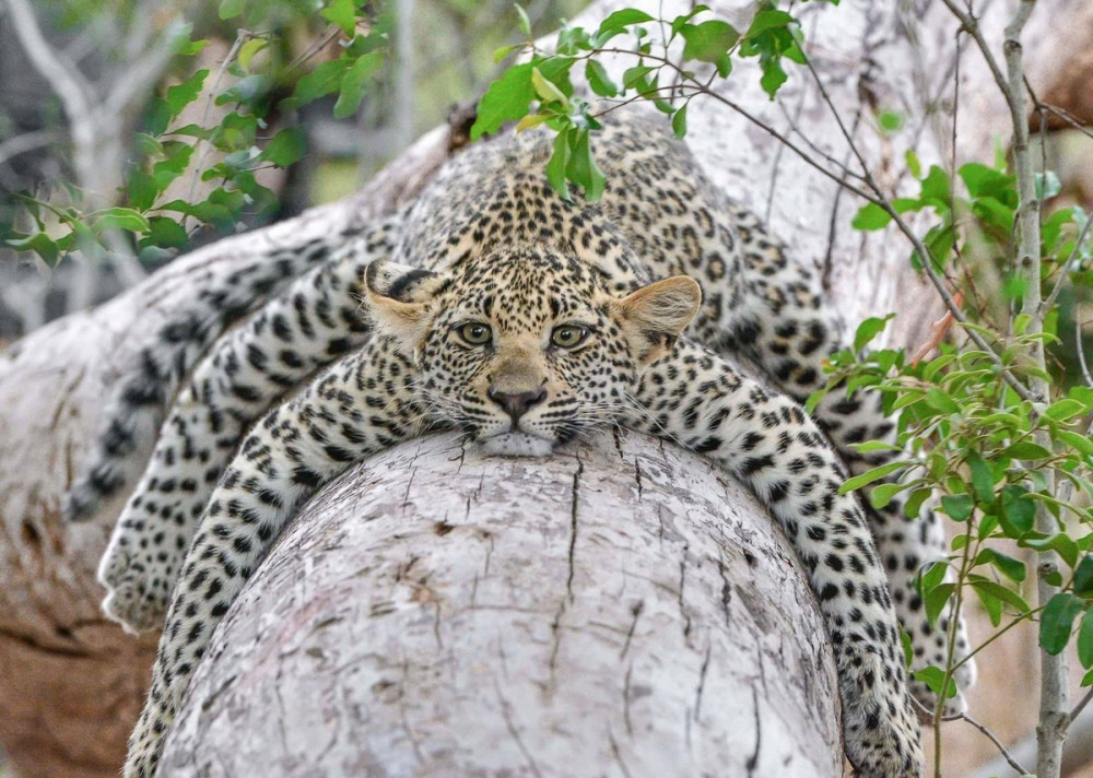 Позитивные картинки