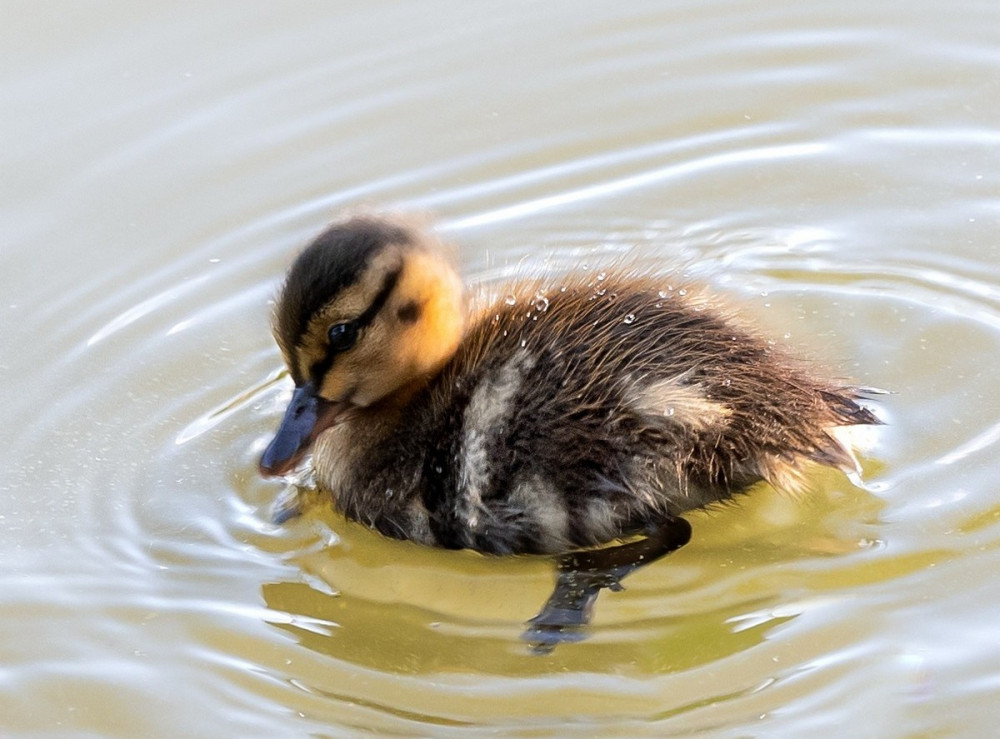 Позитивные картинки
