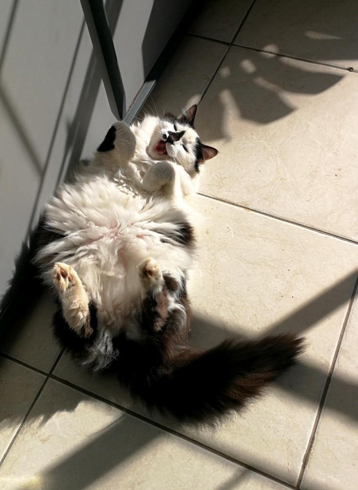 Позитивные картинки