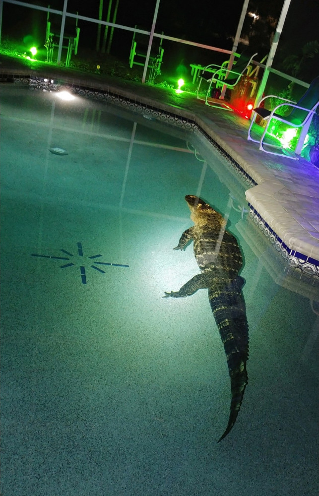 Позитивные картинки