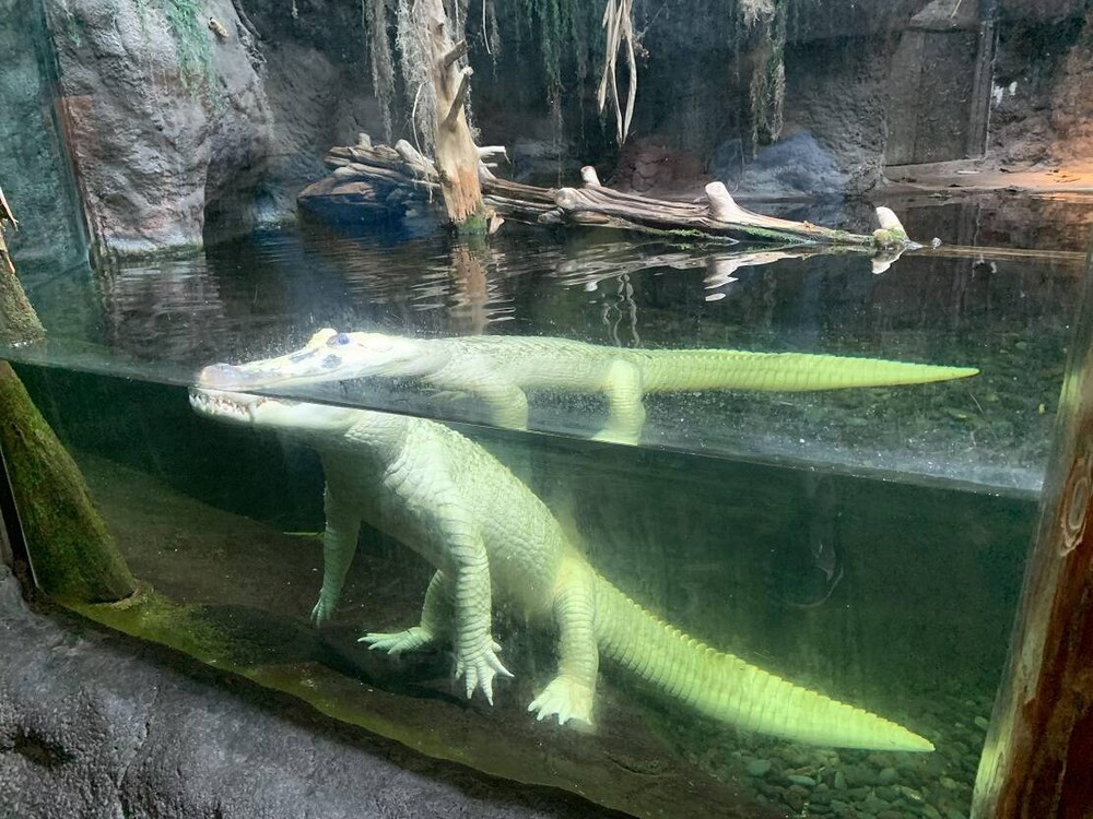 Позитивные картинки