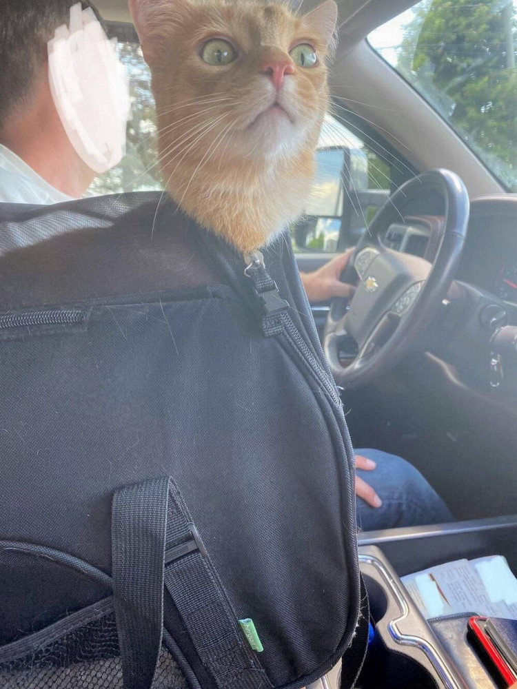 Позитивные картинки