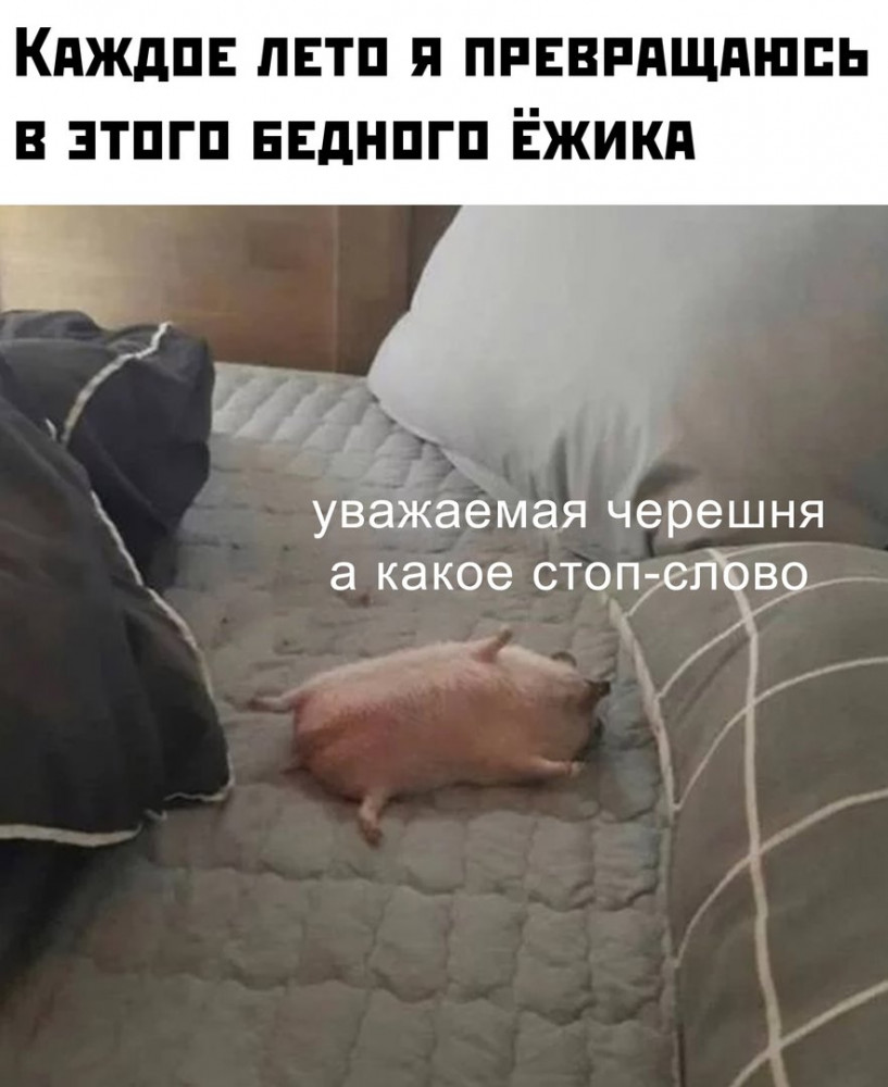 Смешные мемы