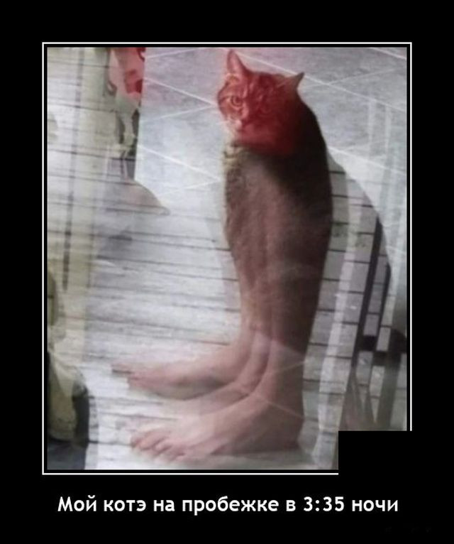 Смешные демотиваторы