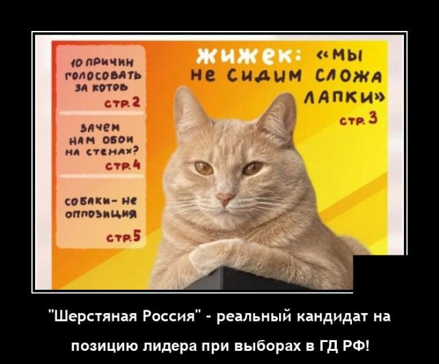 Смешные демотиваторы