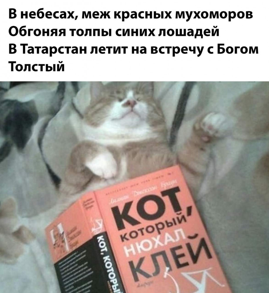 смешные мемы