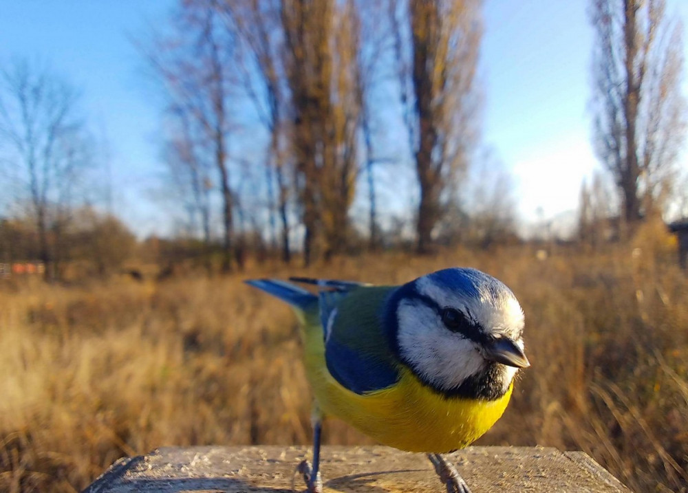 Впечатляющая подборка добрых и прикольных Картинок