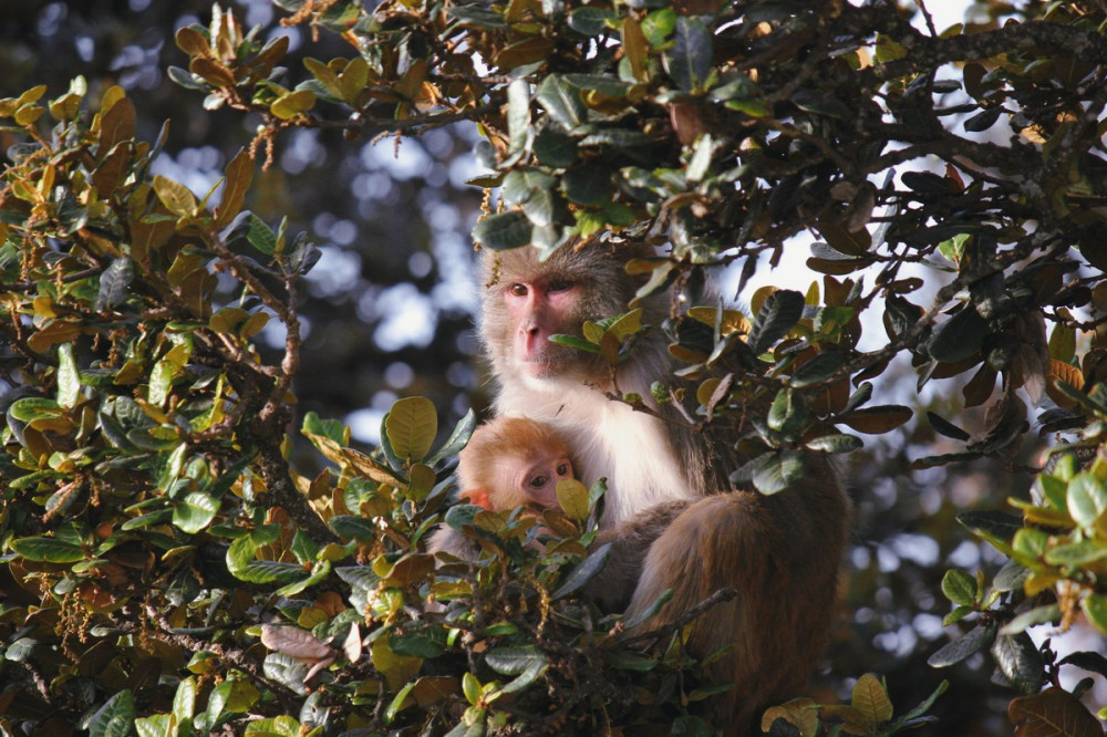 Позитивные картинки хорошего настроения