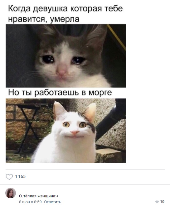 юмор для взрослых