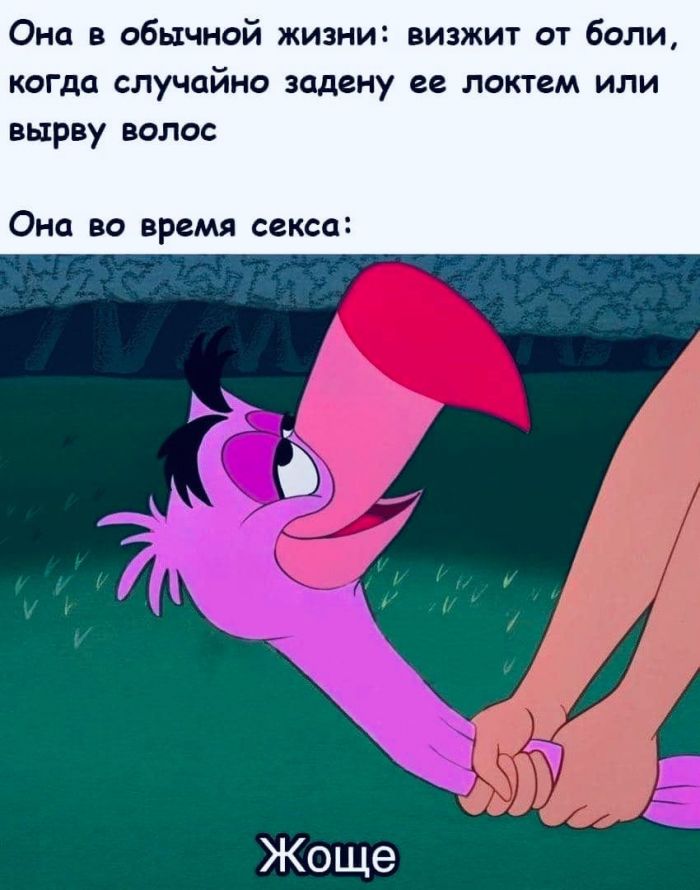 юмор для взрослых