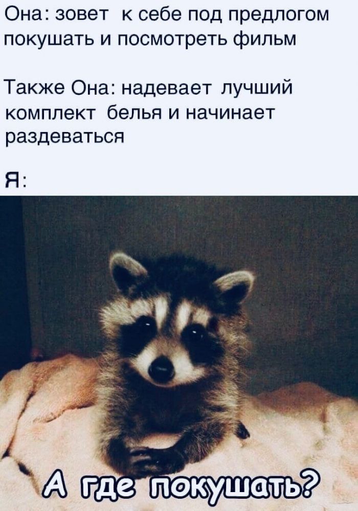 юмор для взрослых