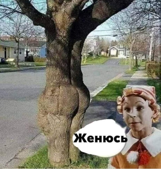 юмор для взрослых