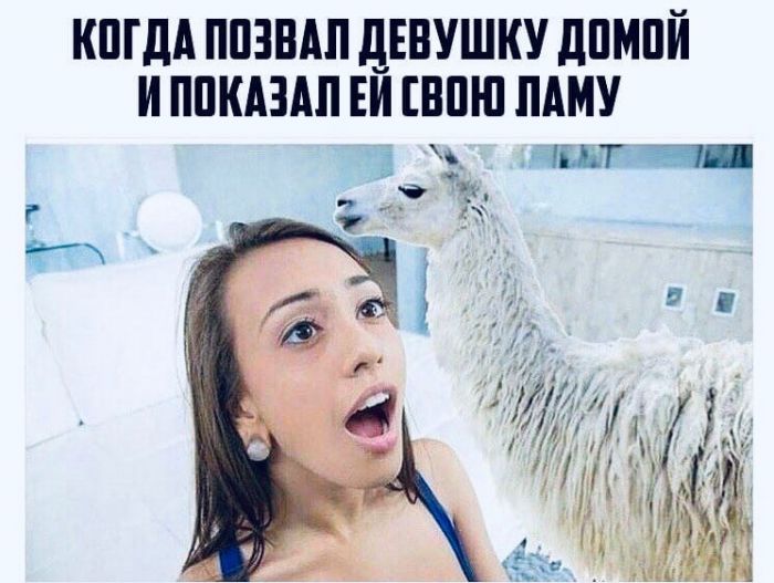 юмор для взрослых