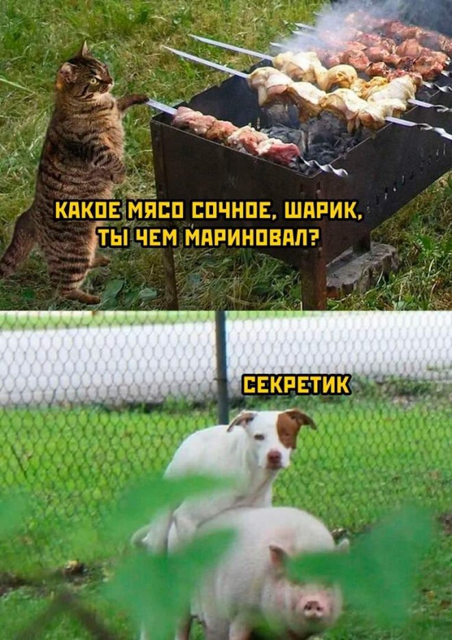 Мемы Досуга