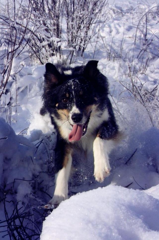 Прикольная картинка для хорошего настроения