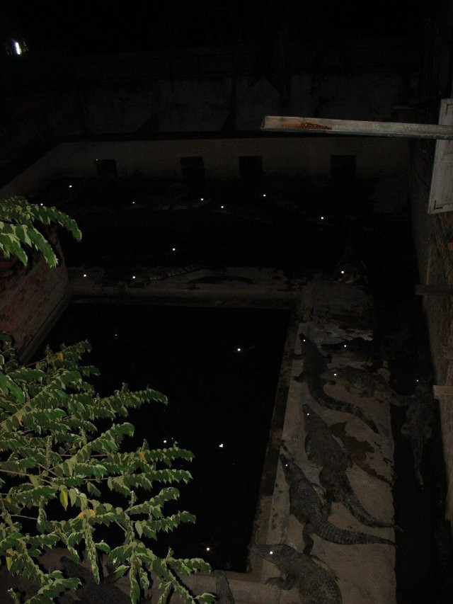 странные фото