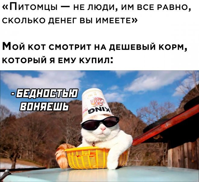 Юмор