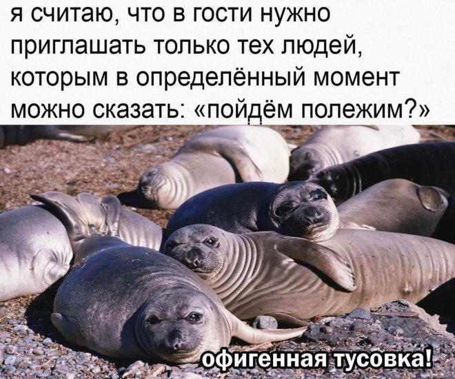 Смешной мем