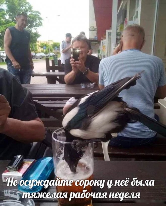 Смешной мем