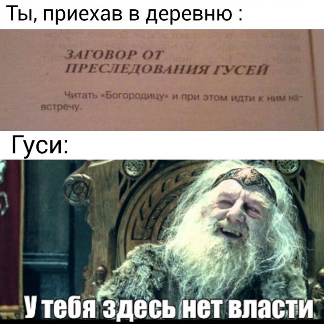 Смешной мем