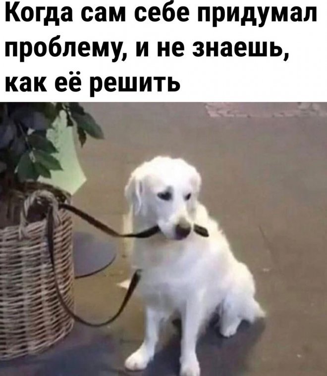 Смешной мем