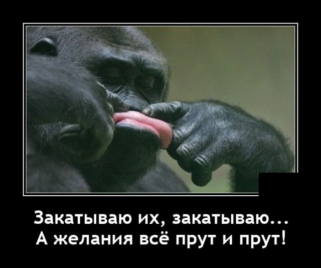 Демотиватор Дня