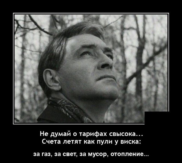 Демотиватор Дня