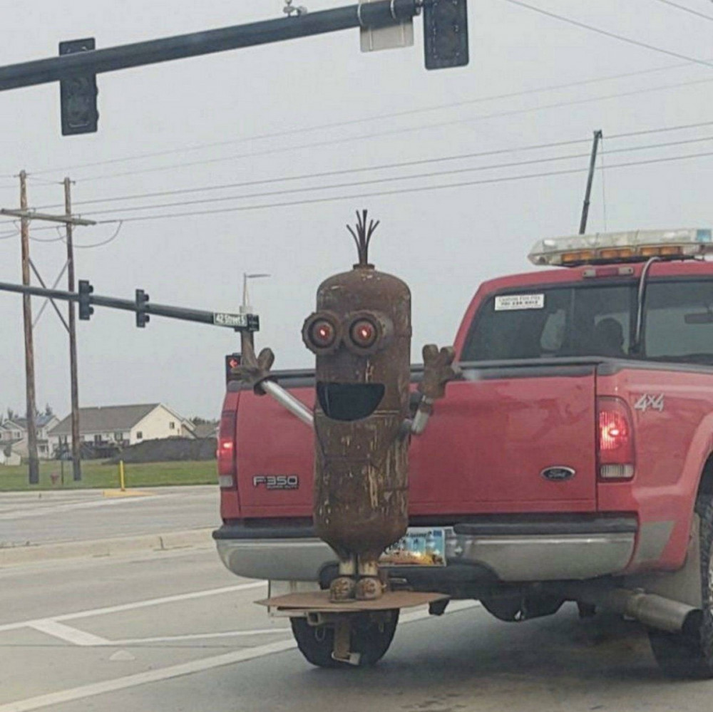 Прикольные картинки