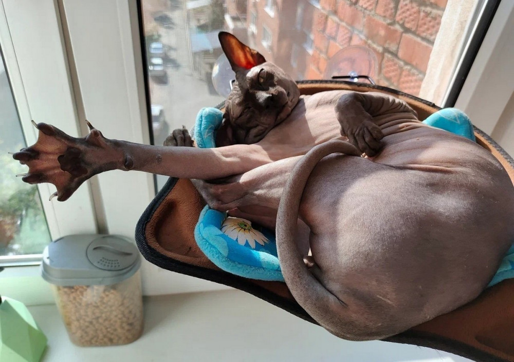 Прикольные картинки