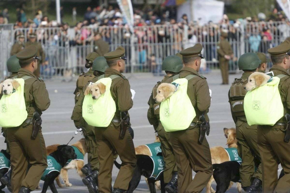 Позитивчик