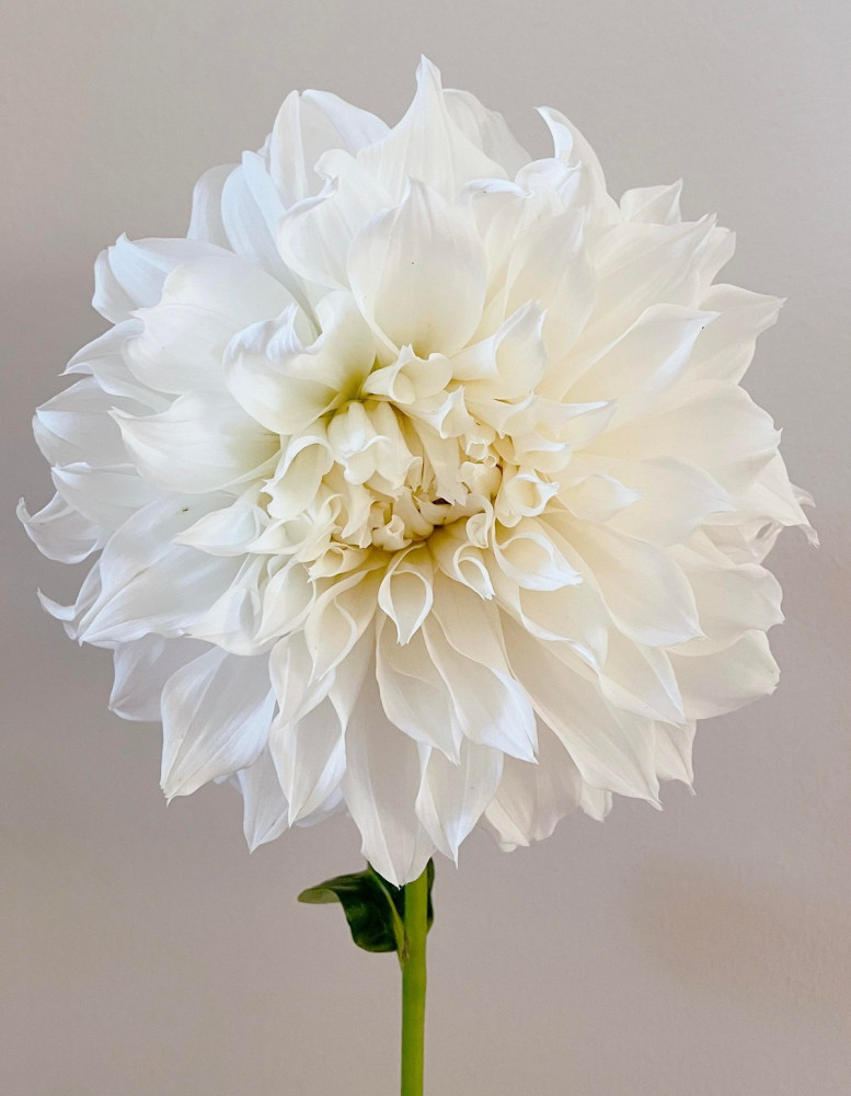 Позитивчик