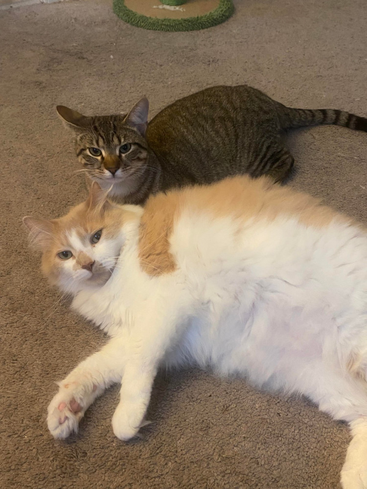 Позитивчик